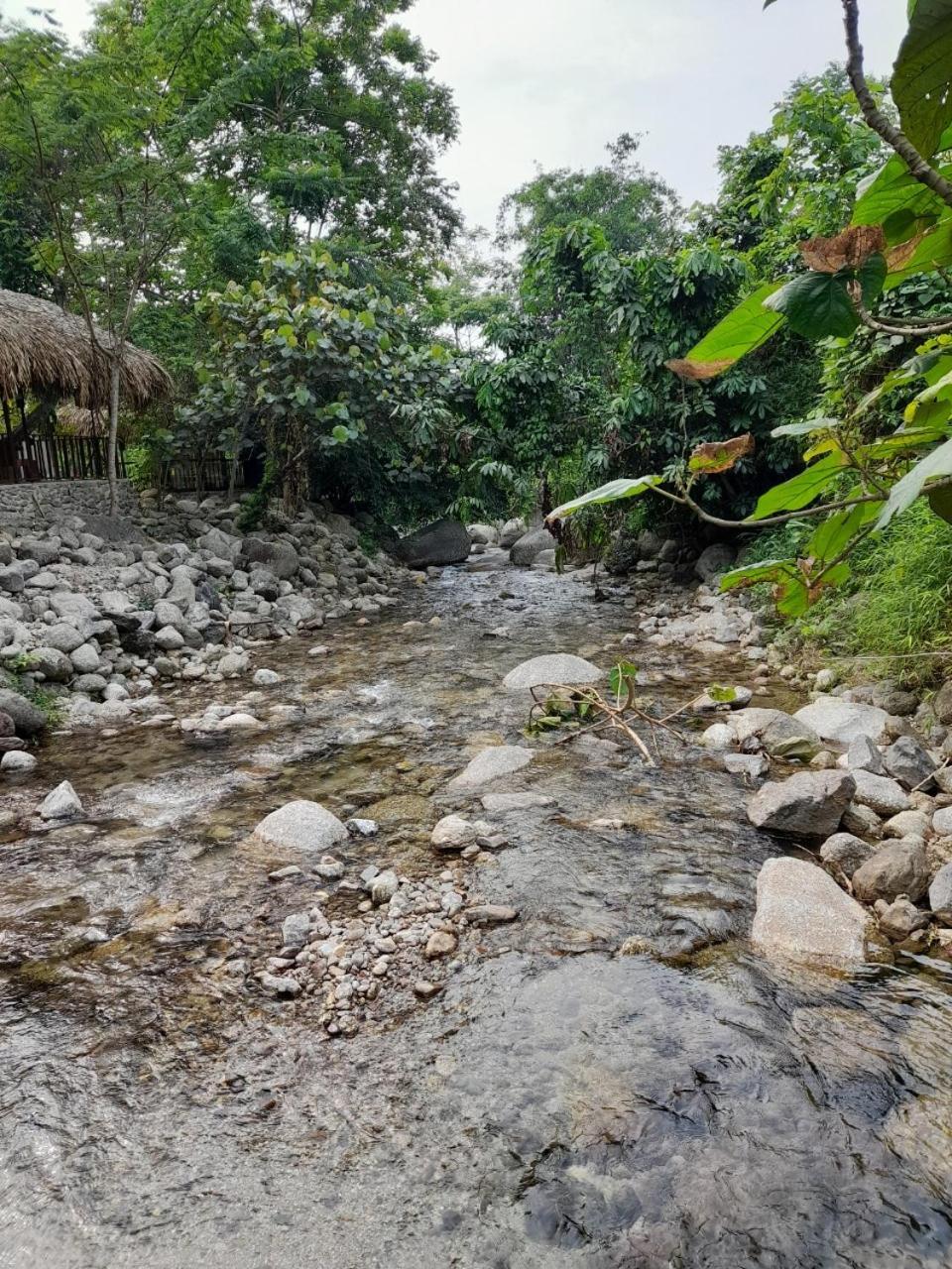 Khach San Vuon Quoc Gia Ba Be Hotel Bac Kan Bagian luar foto